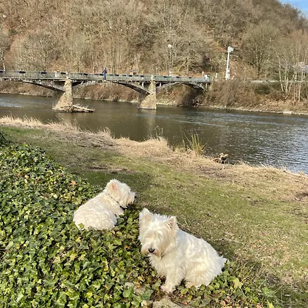 Feriehus La Semois A Mouzaive Sur Semois