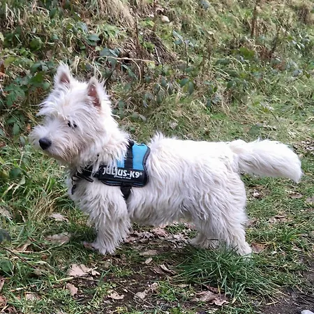 La Semois A Mouzaive Sur Semois * Vresse-sur-Semois