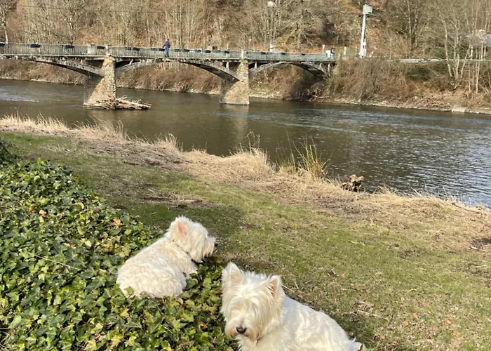 Holiday home La Semois A Mouzaive Sur Semois